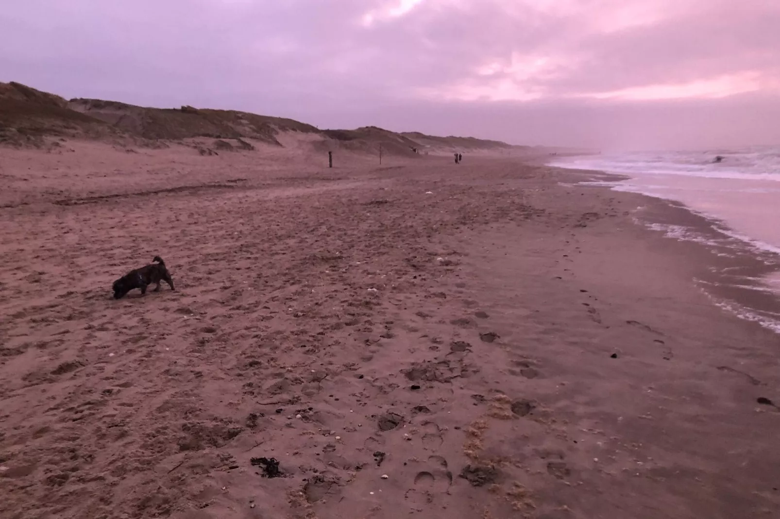Uit en Thuis aan Zee-Areas summer 5km