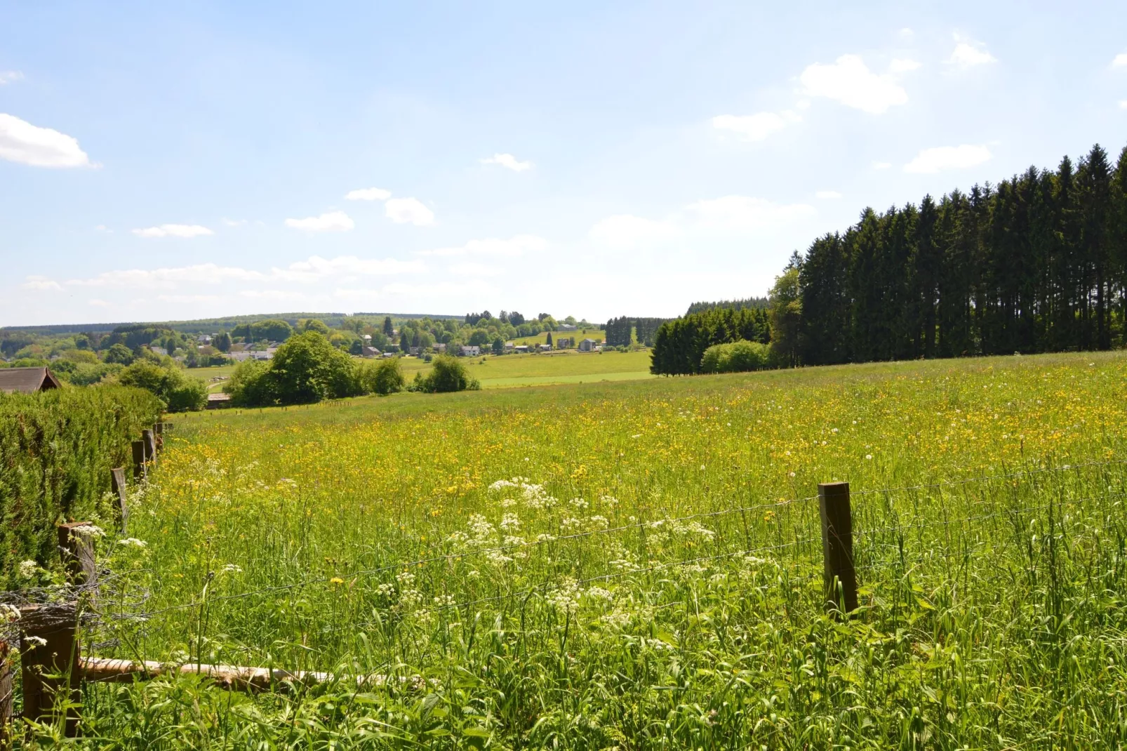Le Chevreuil-View summer
