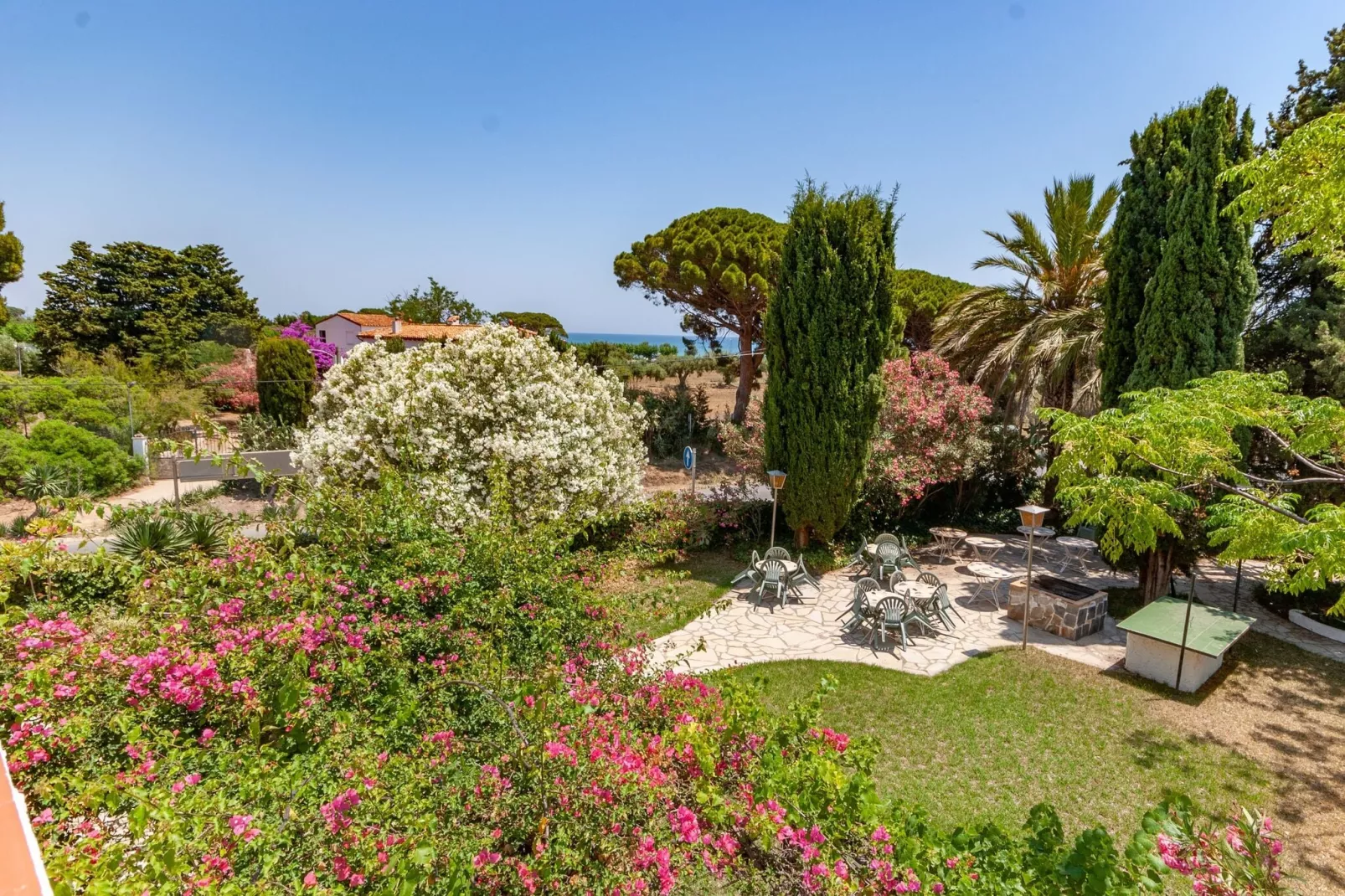 Nobis Los Pinos 2-View summer