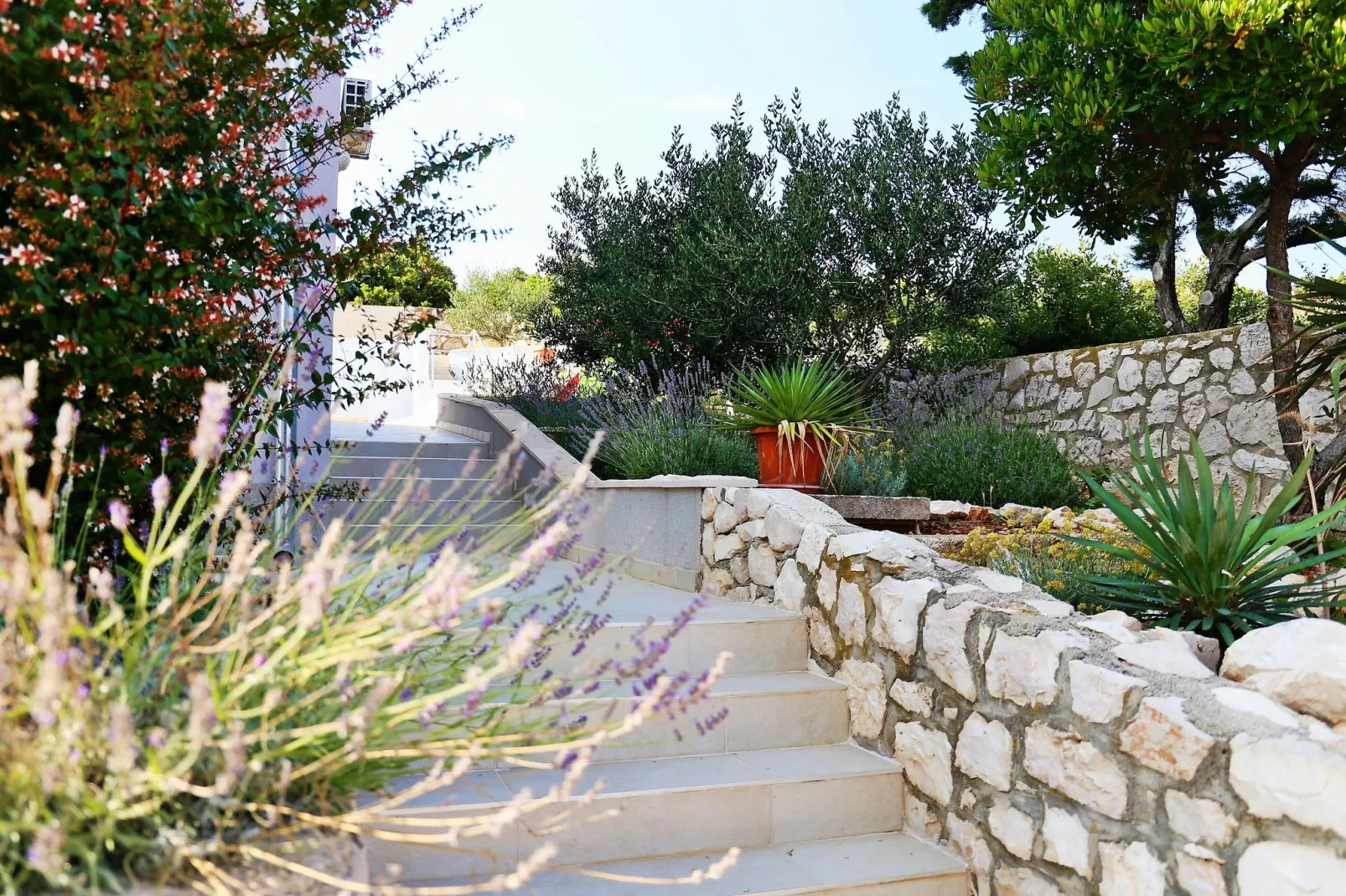 Villa Lavanda-Gardens summer