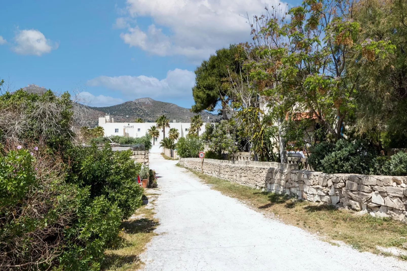 Plaia Resort 1-Areas summer 1km