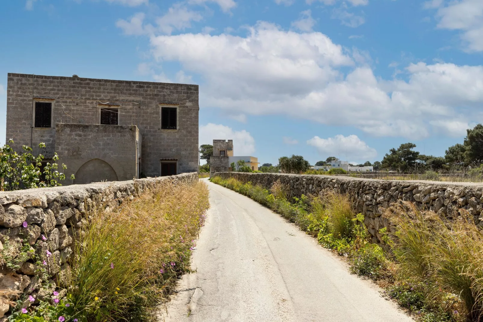Plaia Resort 1-Areas summer 1km