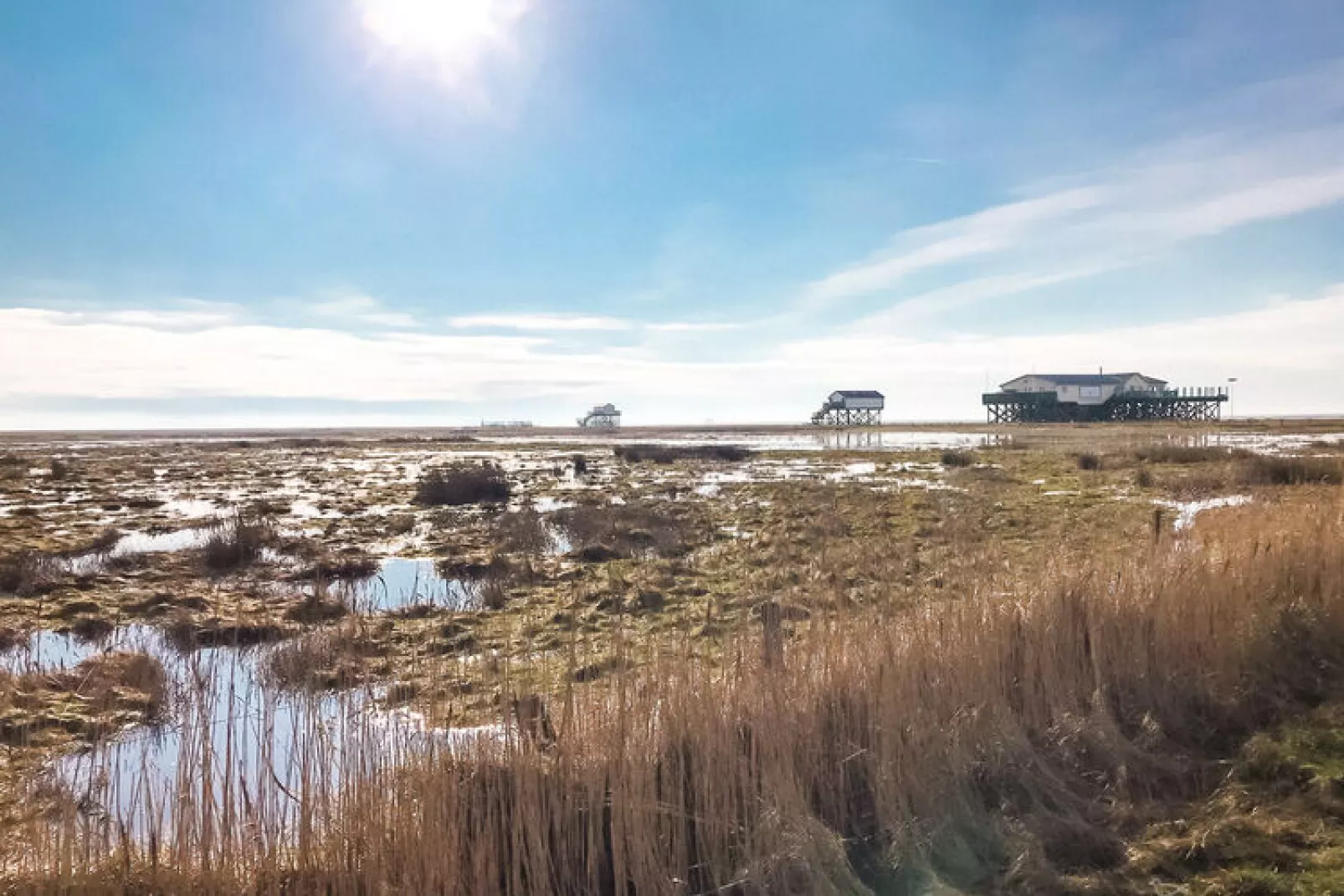Ferienwohnung FriesennestSPO St Peter-Ording-Areas summer 5km