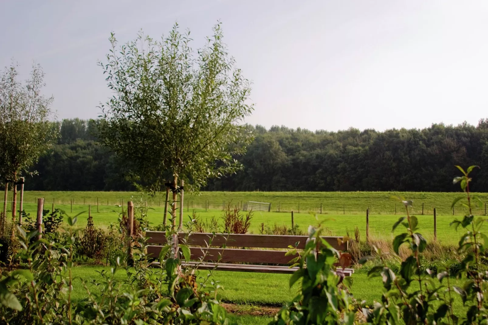 Recreatiepark de Stelhoeve 2-Areas summer 1km