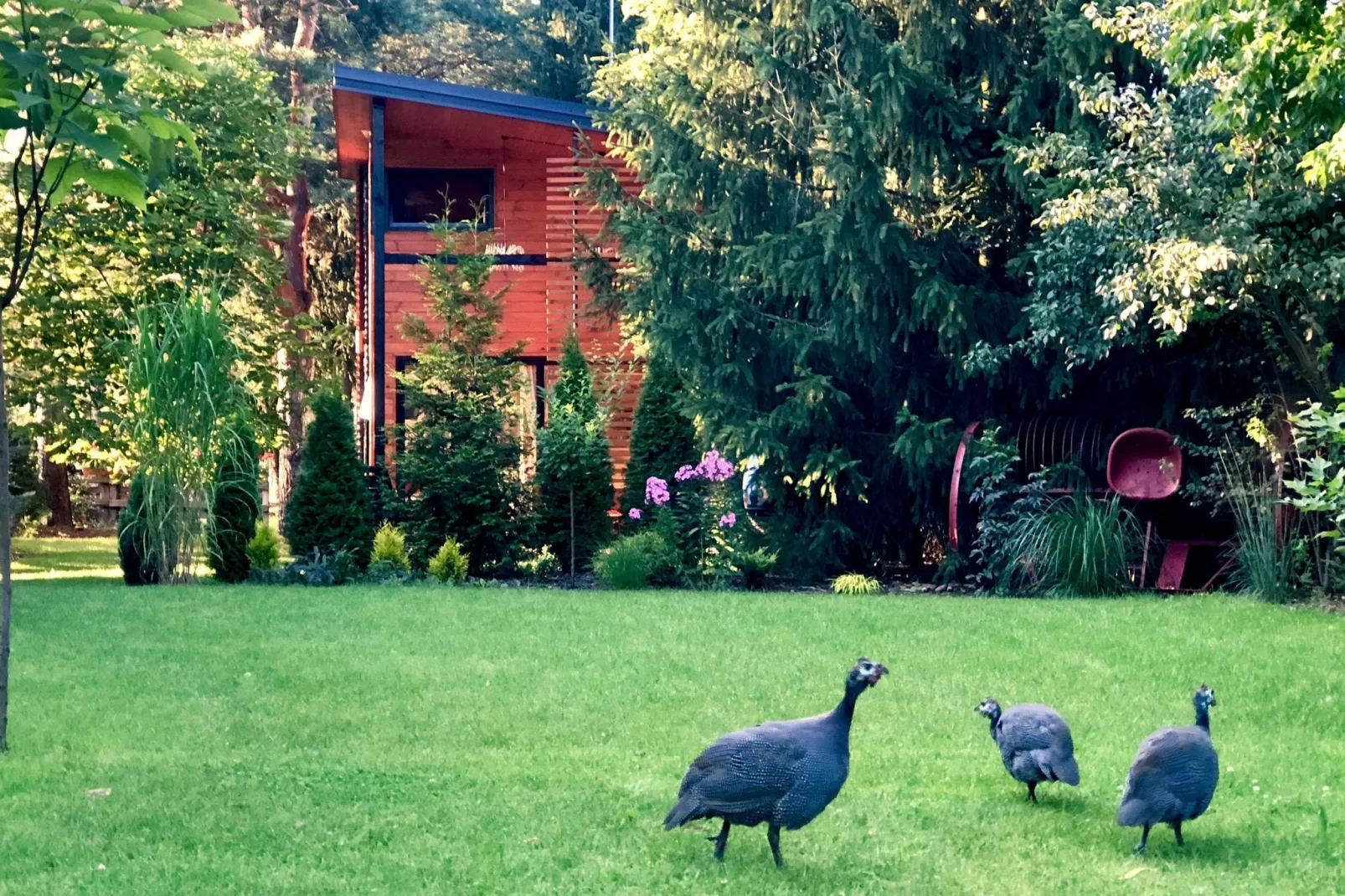 A modern holiday home-Gardens summer