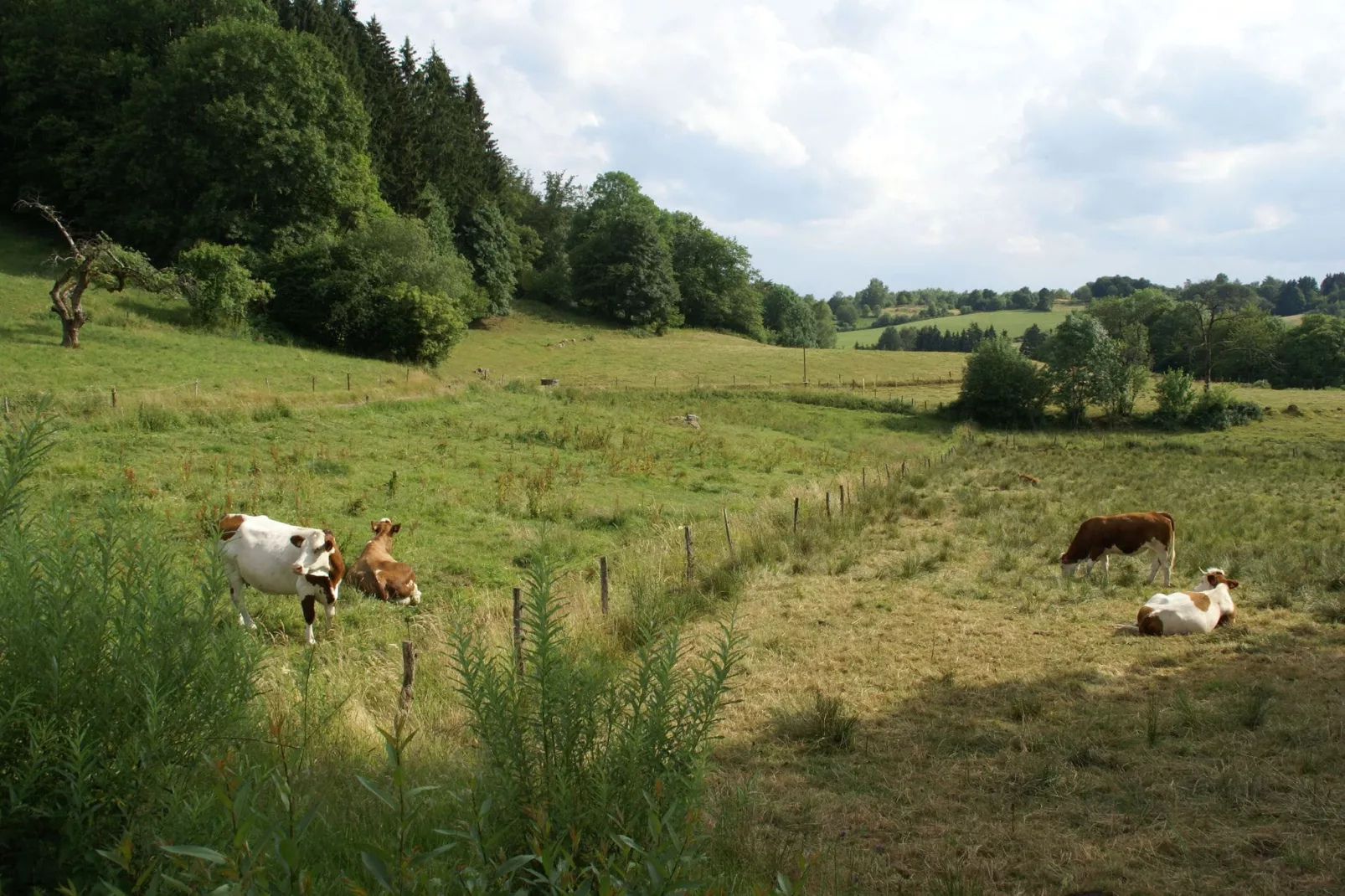 Maison de vacances - ESMOULIÈRES-Jardin d'été