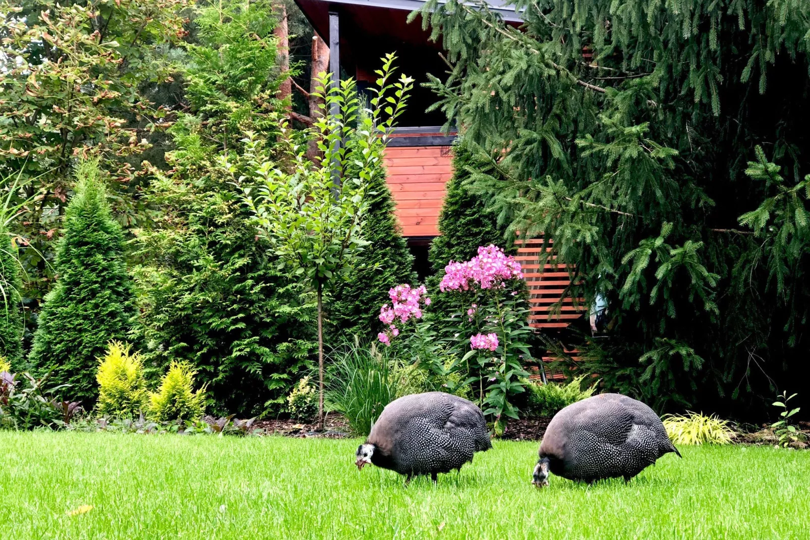 A modern holiday home-Gardens summer
