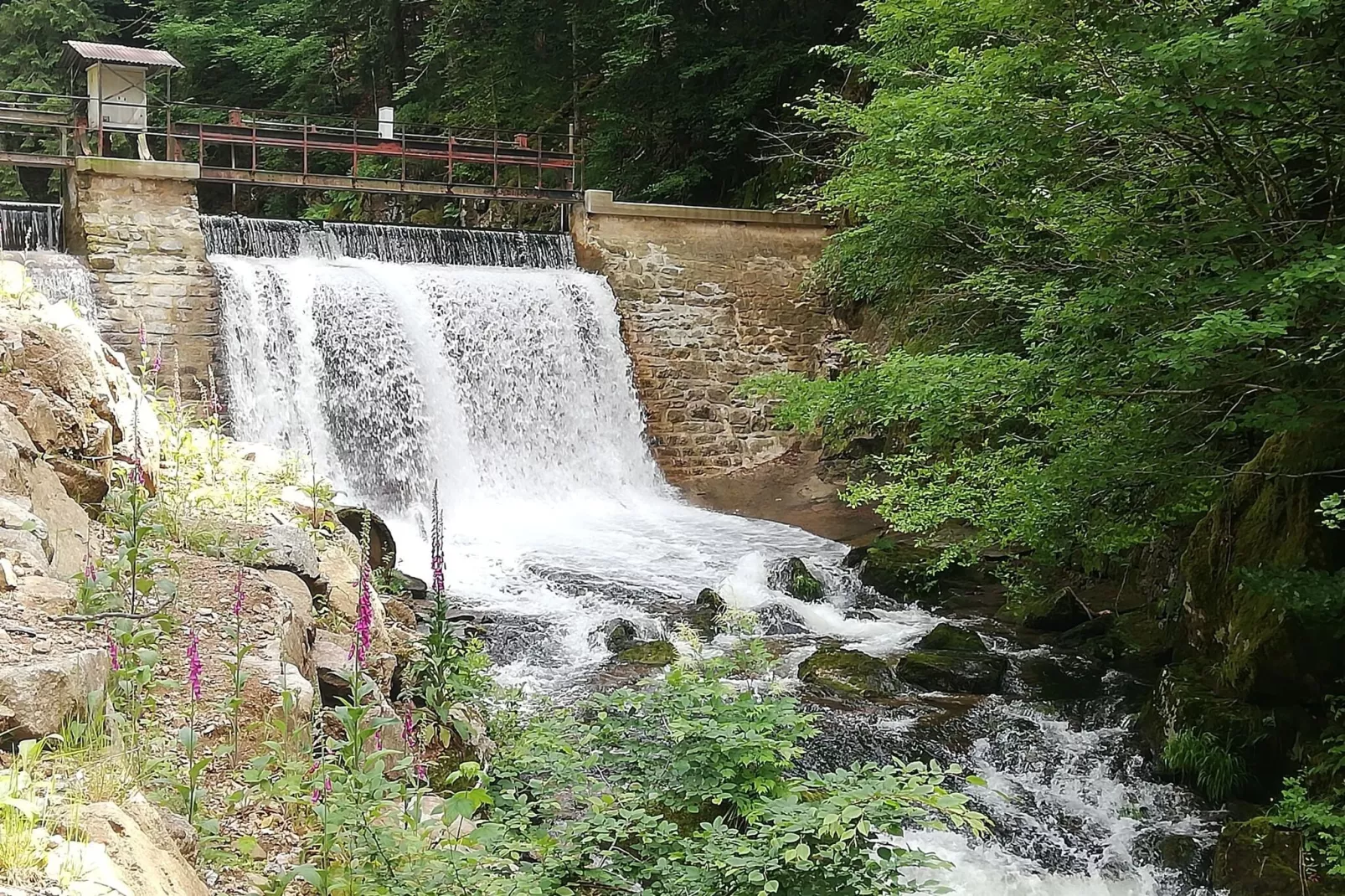Maison de vacances - LE HAUT-DU-THEM-Areas summer 5km