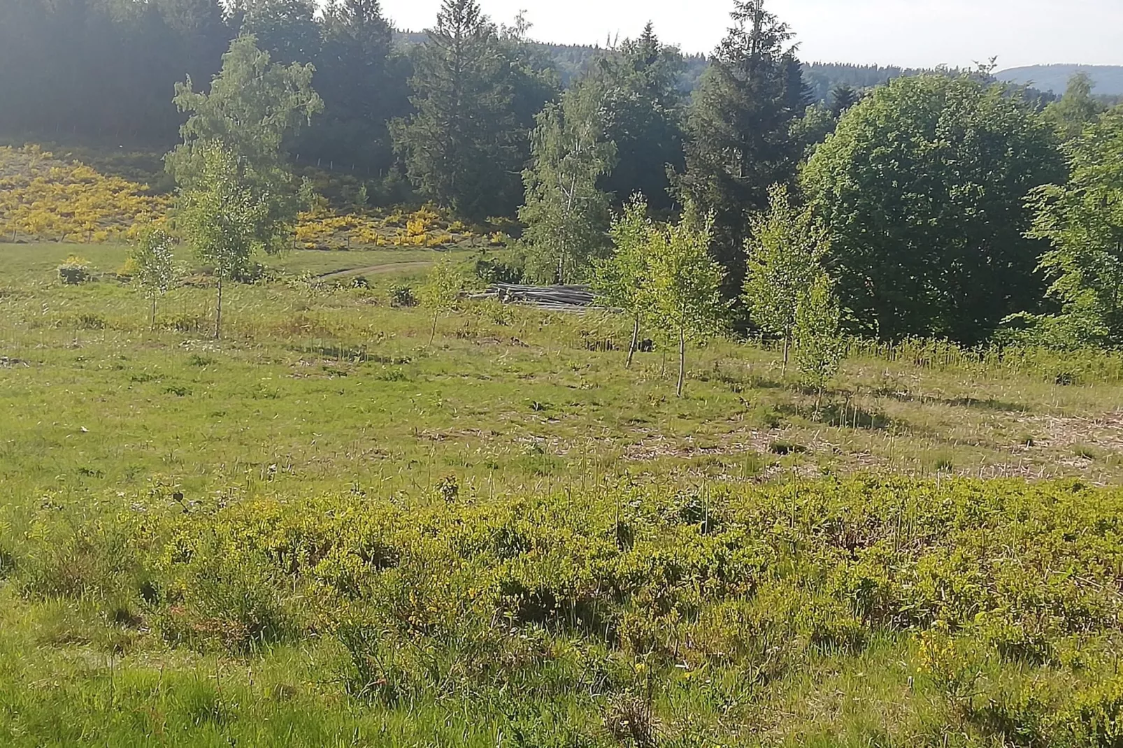 Maison de vacances - LE HAUT-DU-THEM-Areas summer 5km