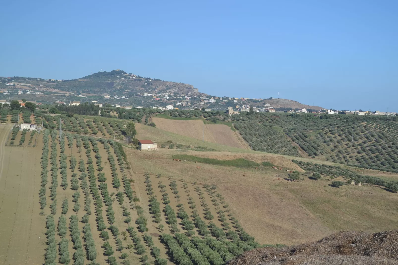 Montalbano Quattro-Areas summer 5km
