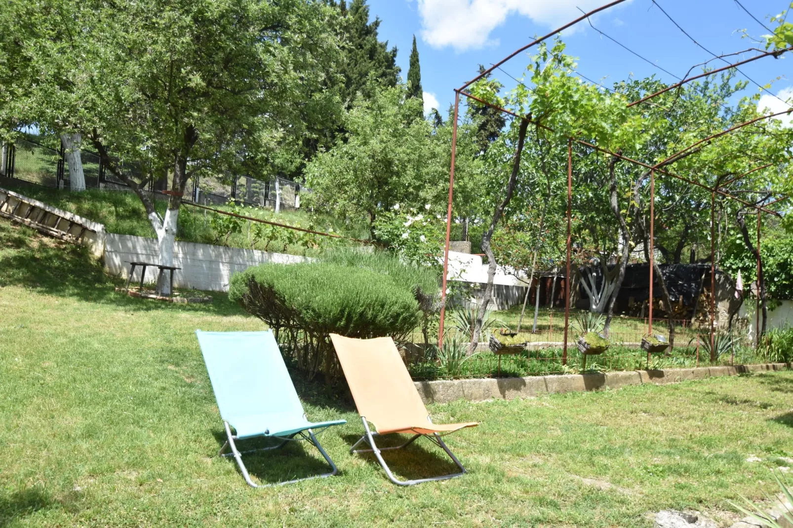 Kuca Blazenka-Gardens summer