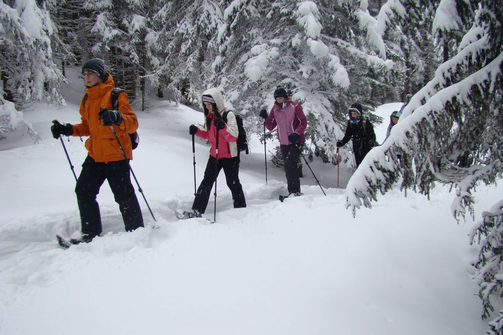 Erzberg Alpin Resort  9-Area winter 5km