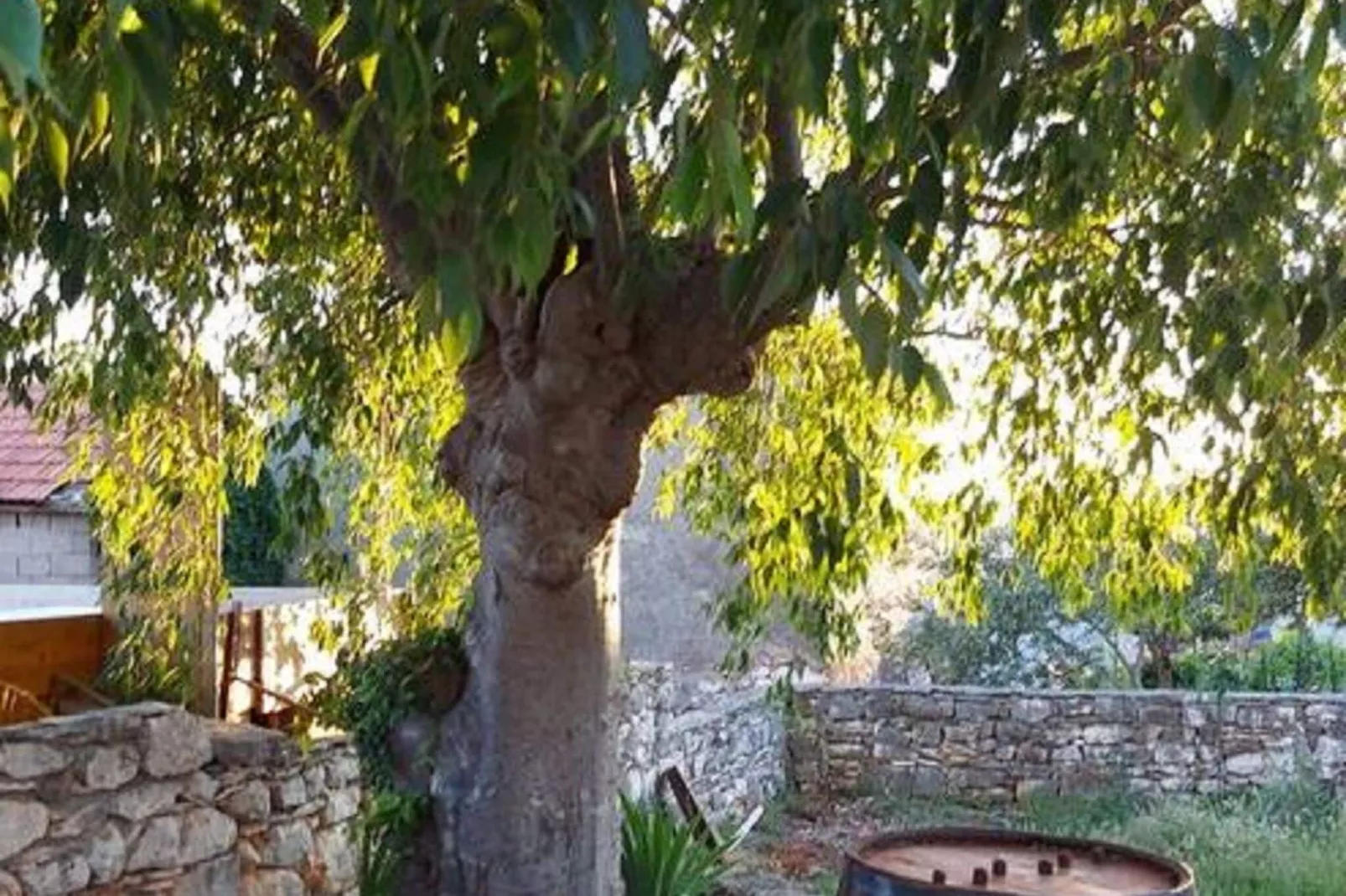 Villa Niva-Jardin d'hiver
