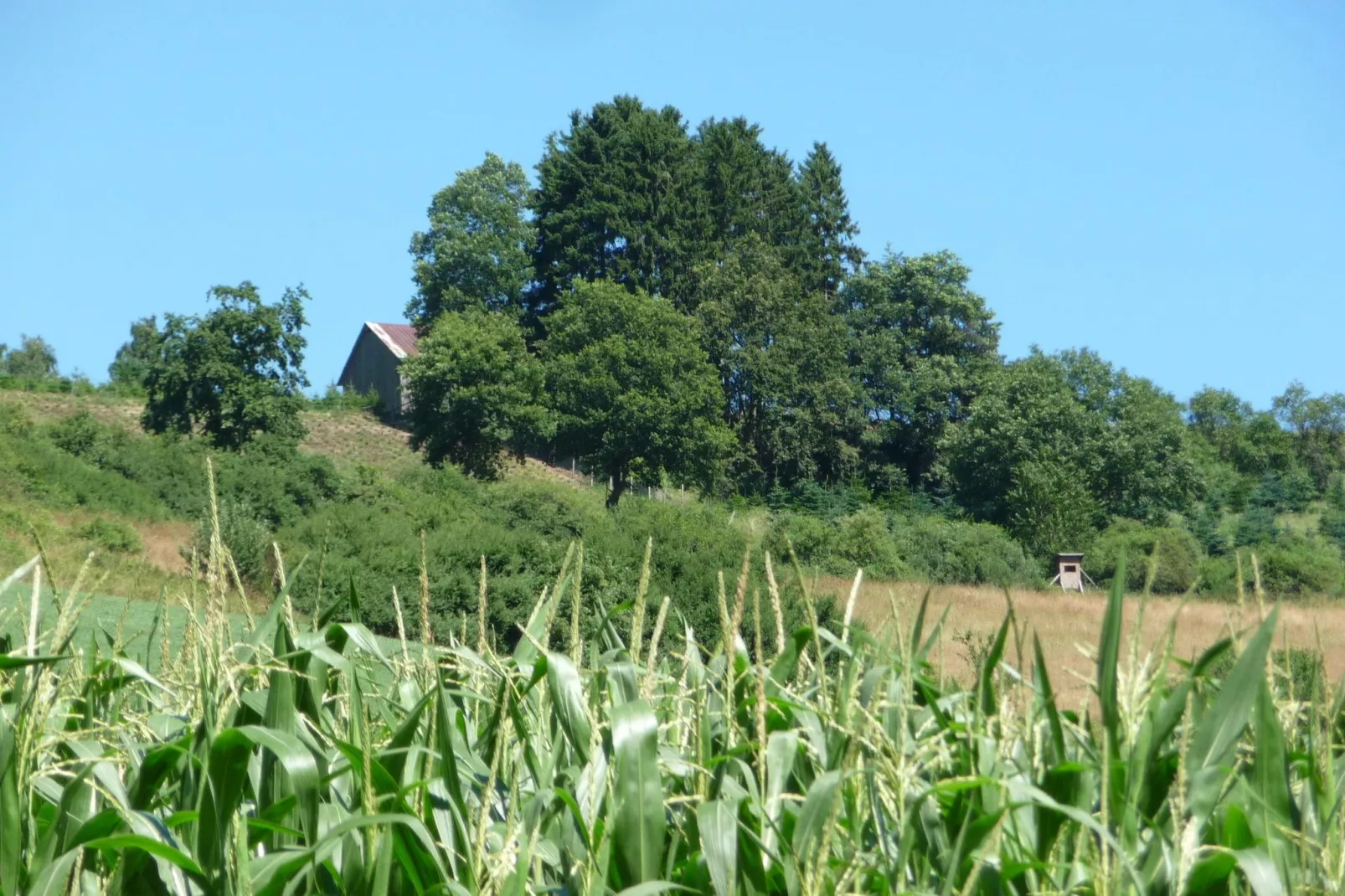 Eslohe-Areas summer 5km