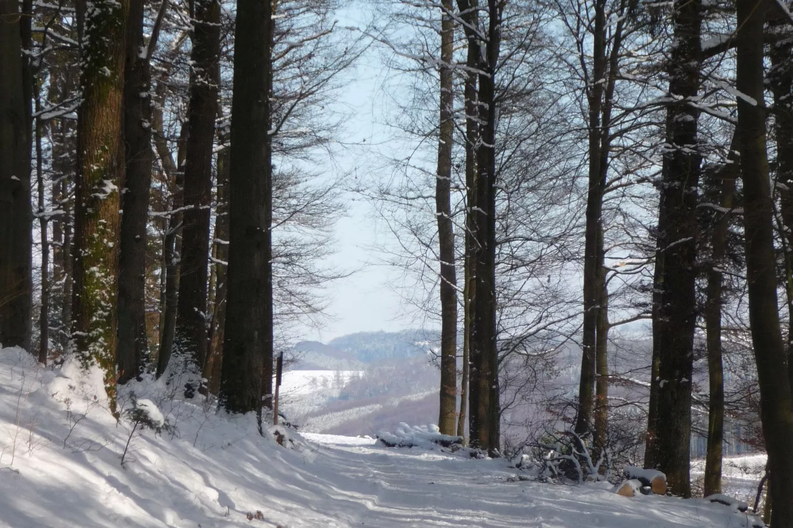Eslohe-Area winter 5km
