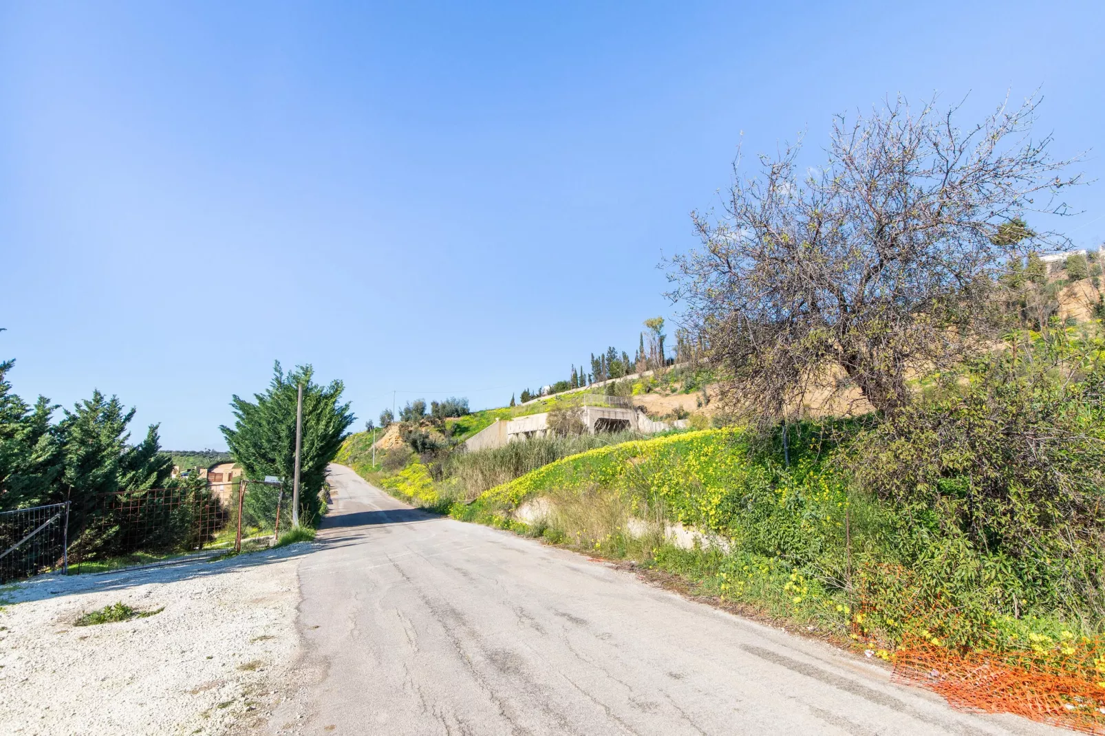 Timpi Russi Trilo Piano Terra-Gebiete Sommer 5 km