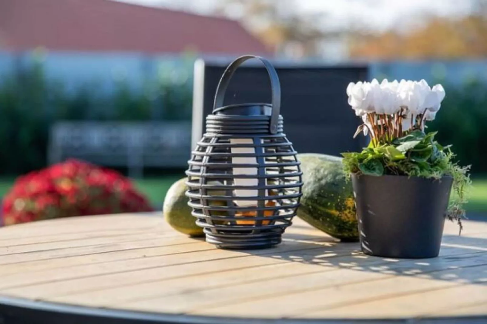 Droomeind Villa d'Argento-Ambiente