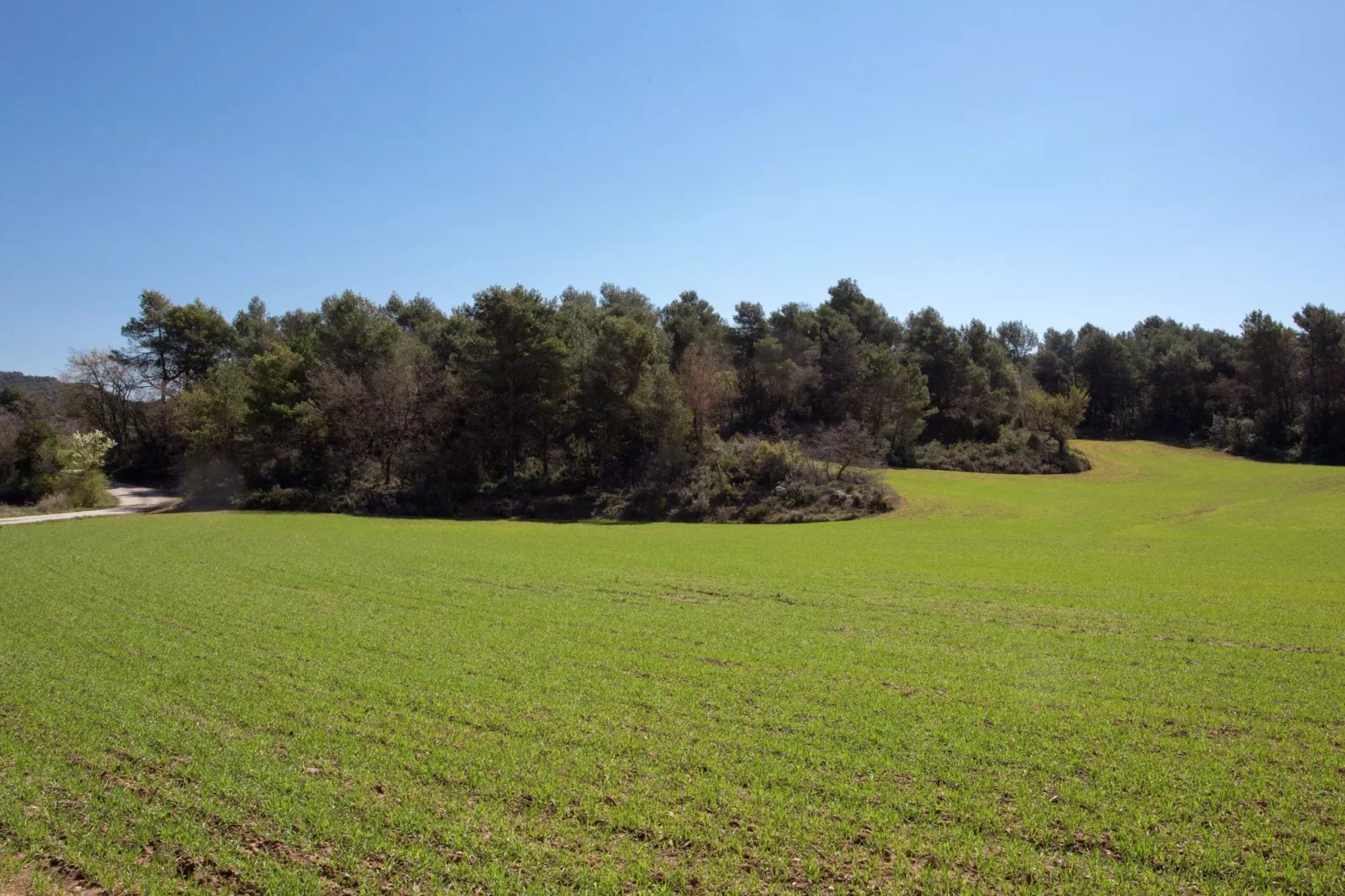 Can Casellas Masovería - Areas within 1km in summer