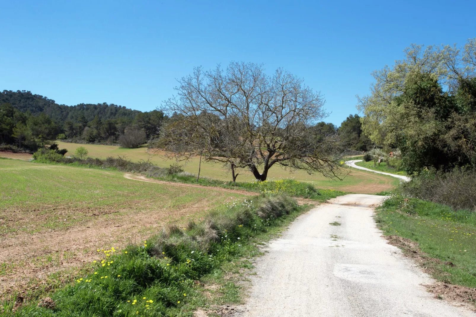 Can Casellas Masovería - Areas within 1km in summer