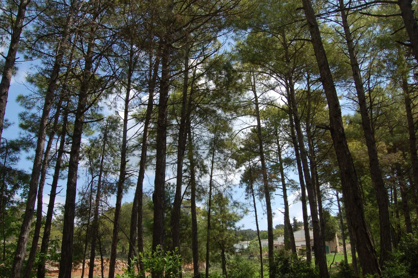 Can Casellas Masovería - Areas within 5km in summer