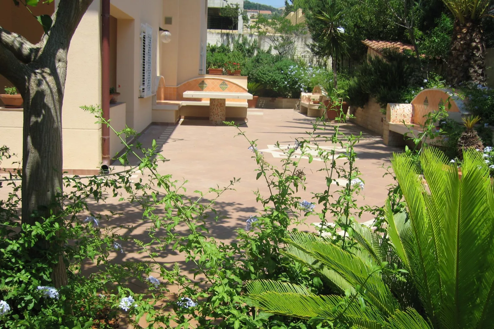 Timpi Russi Trilo 1 piano-Gardens summer