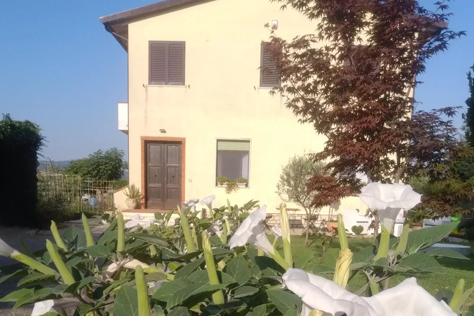 Green Eden-Exterior summer