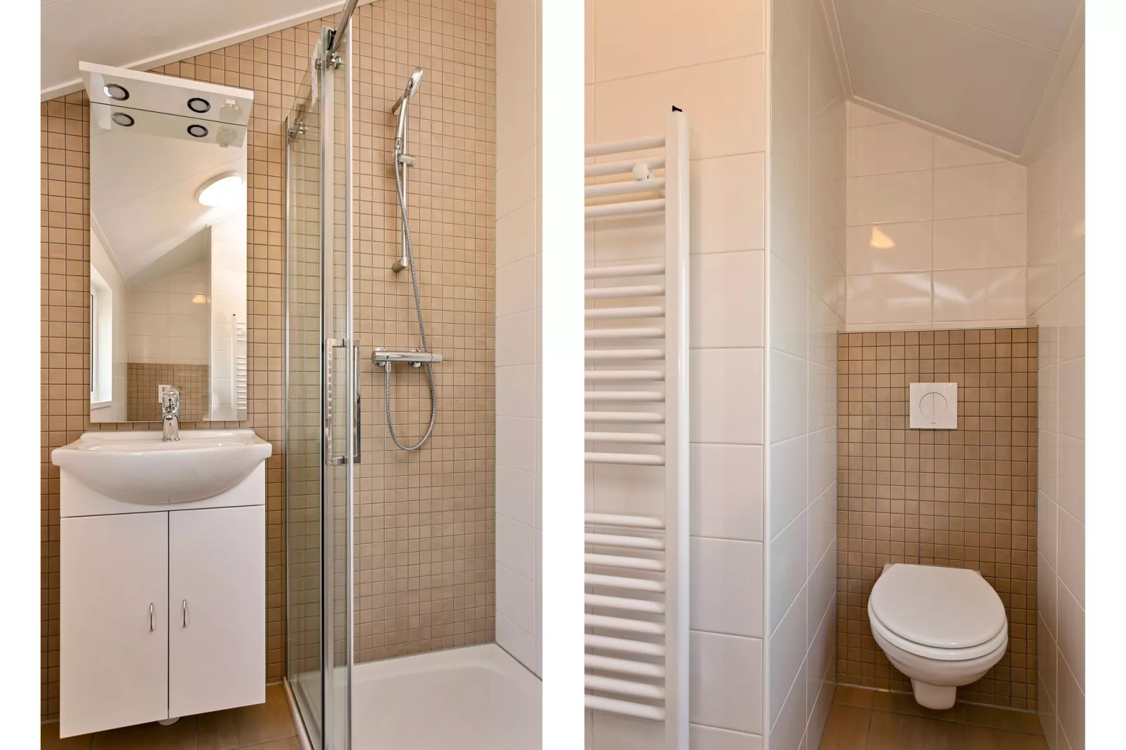 Recreatiepark Tolplas 16-Bathroom