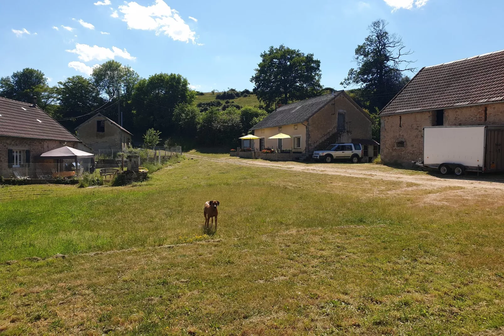 Gite Bourgogne rust & natuur-Gardens summer
