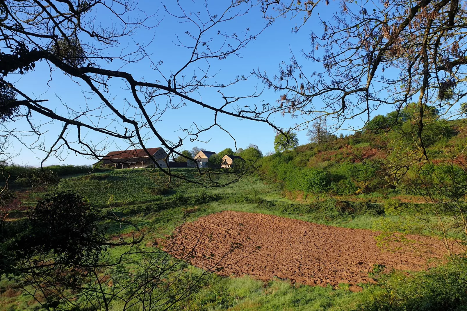 Gite Bourgogne rust & natuur-Areas summer 1km
