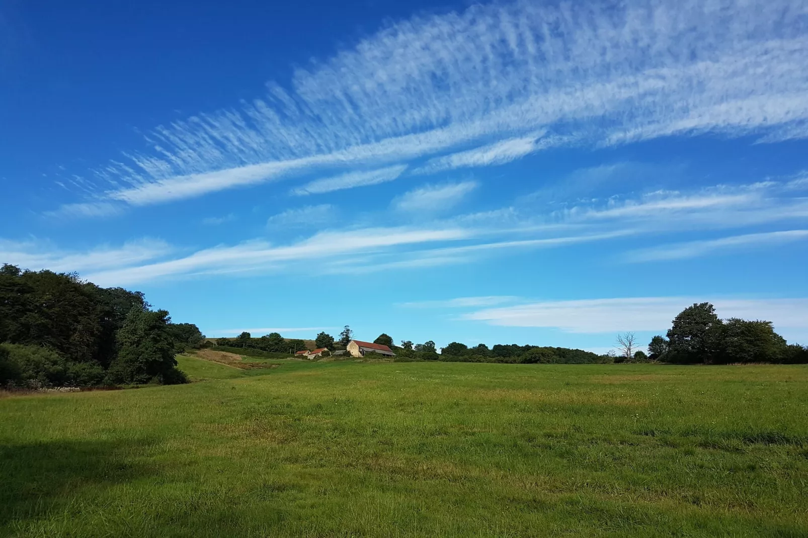 Gite Bourgogne rust & natuur-Areas summer 1km