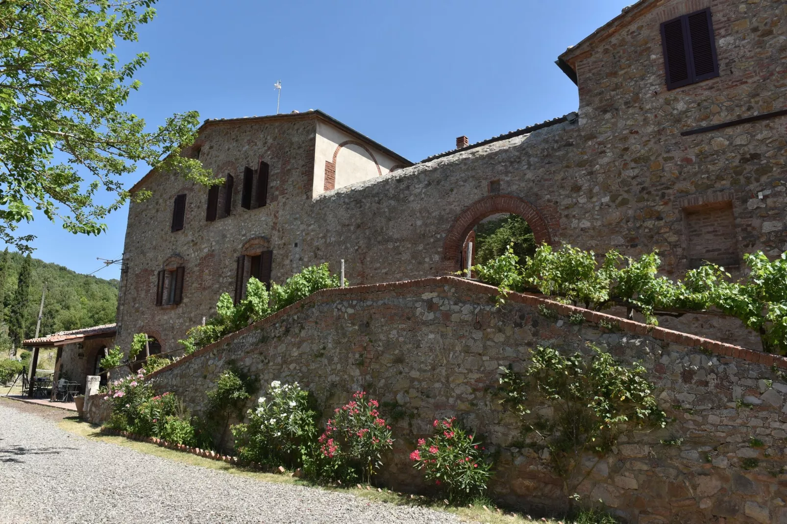 Ginestra1-Exterior summer