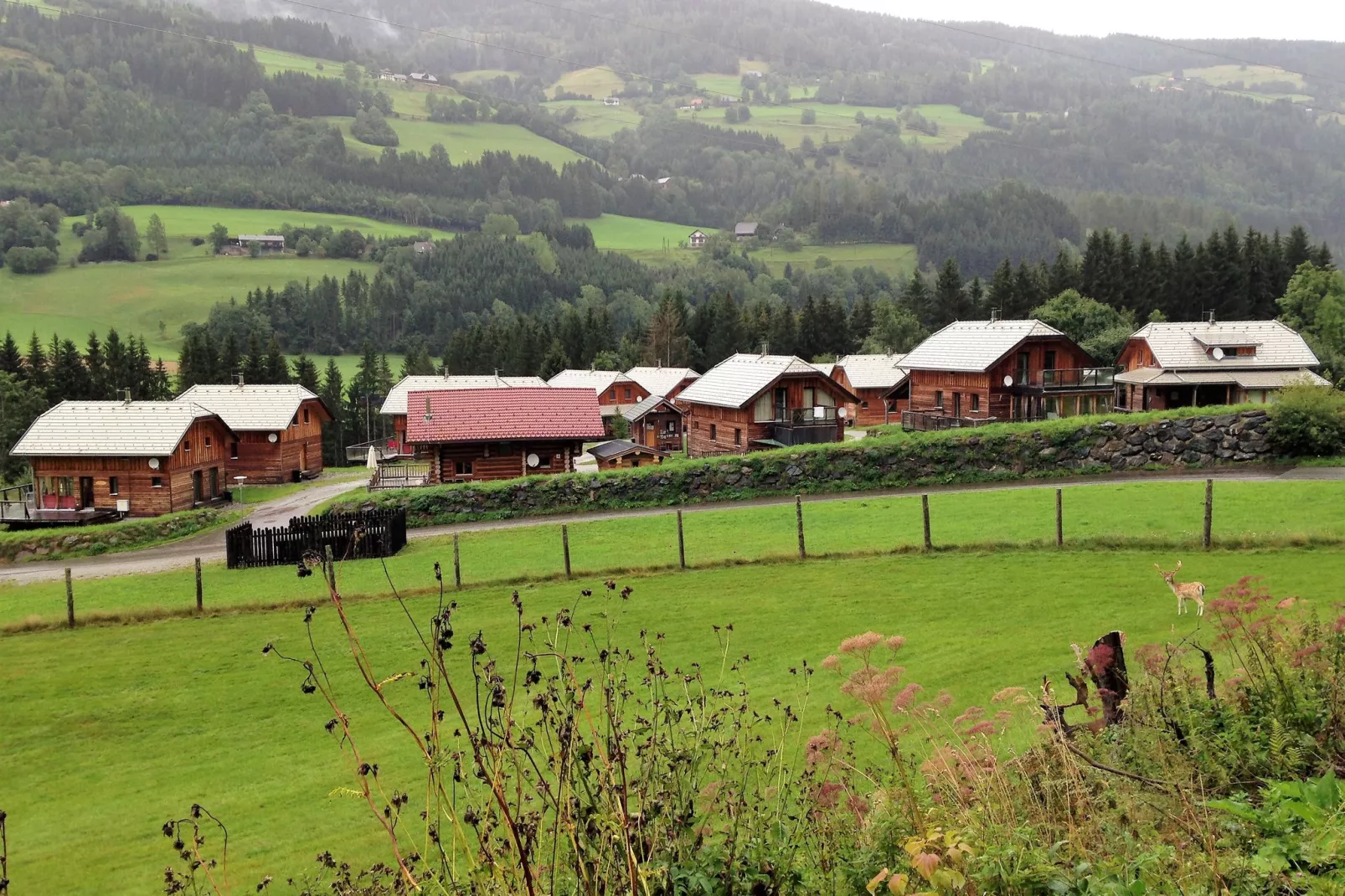 Chalet Murlaub-Außenbereich Sommer