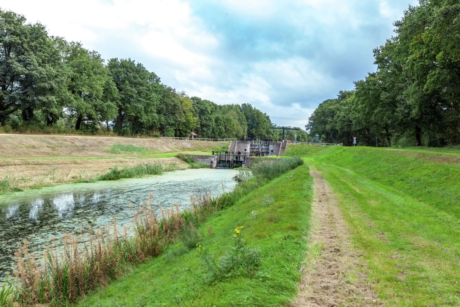 Langgoor-Areas summer 1km