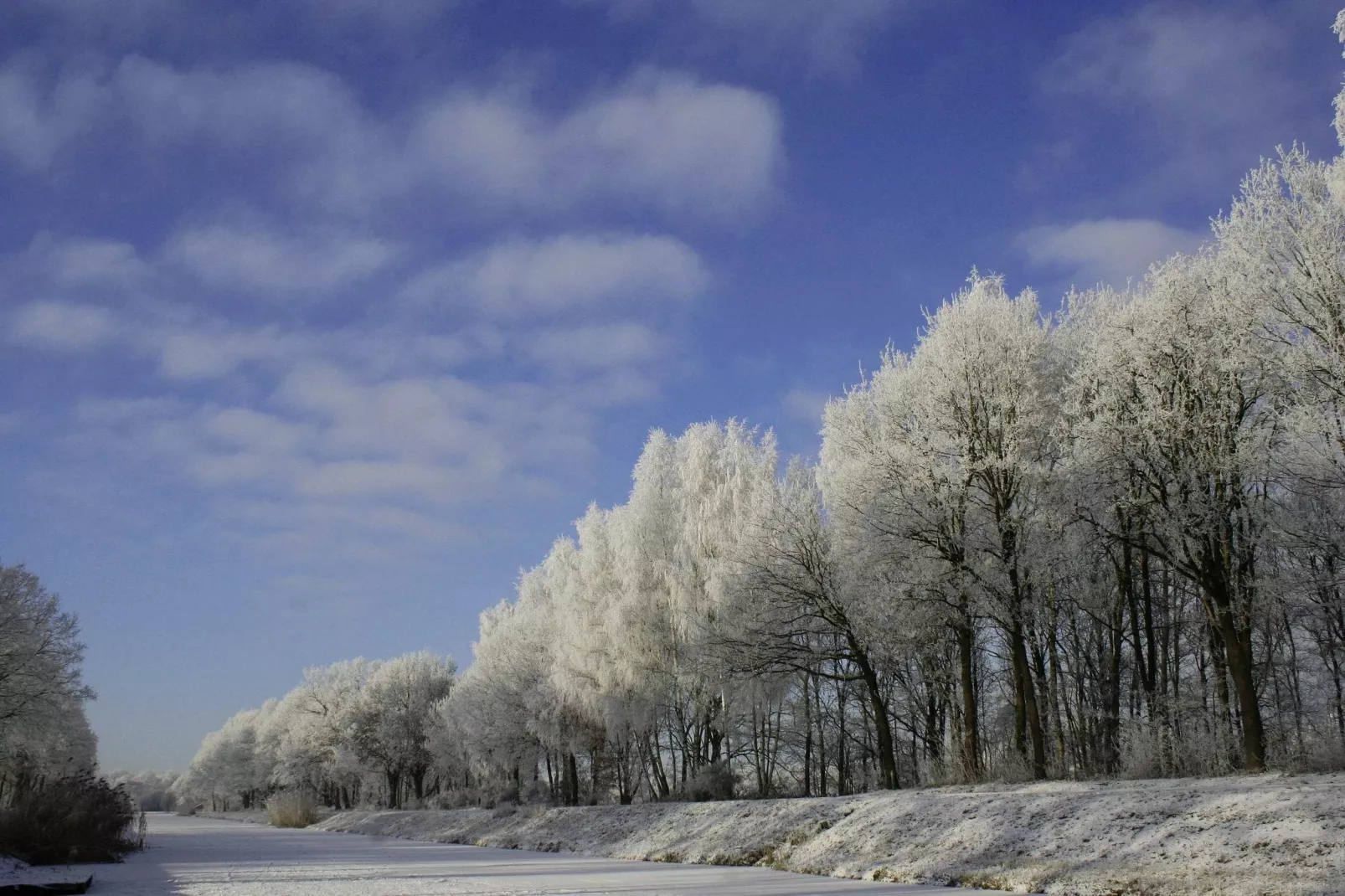 Langgoor-Area winter 1km