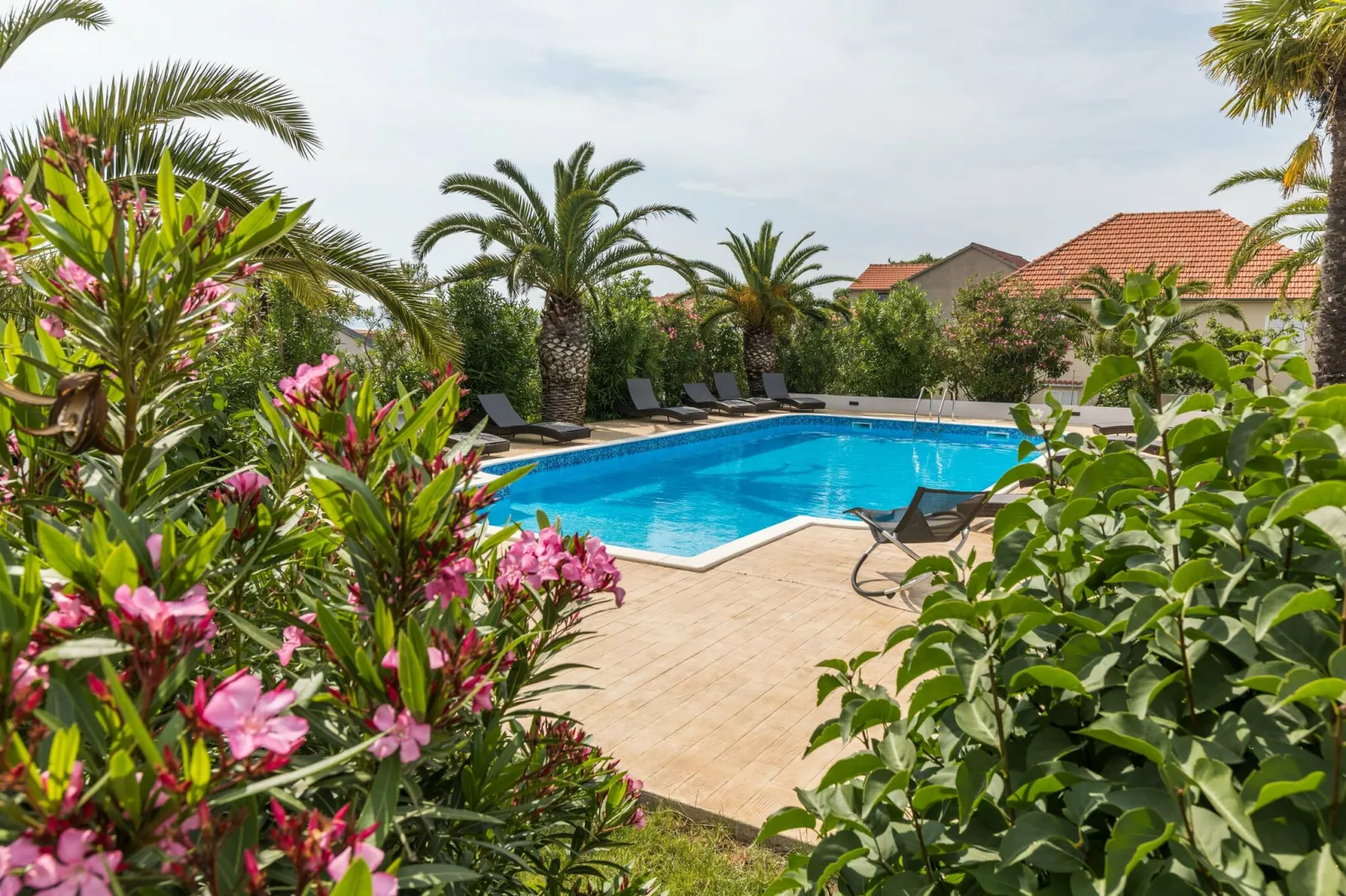 Mediterano 3-Exterior summer