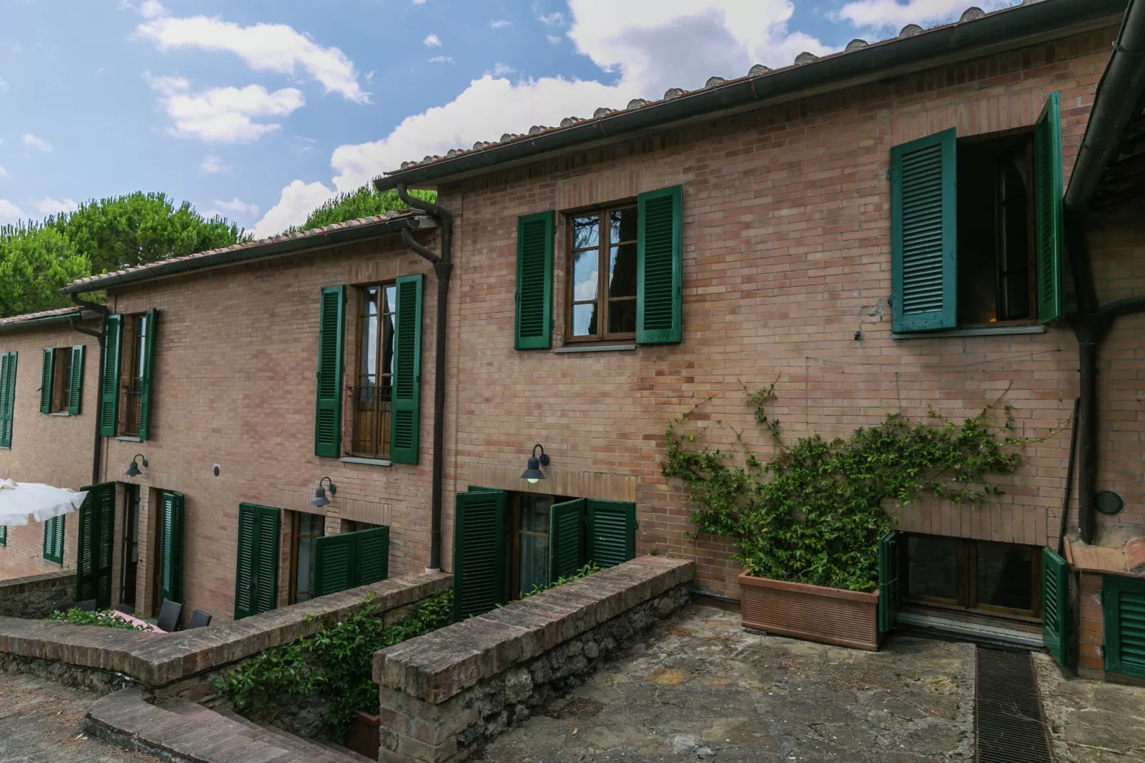 Frantoio-Exterior summer