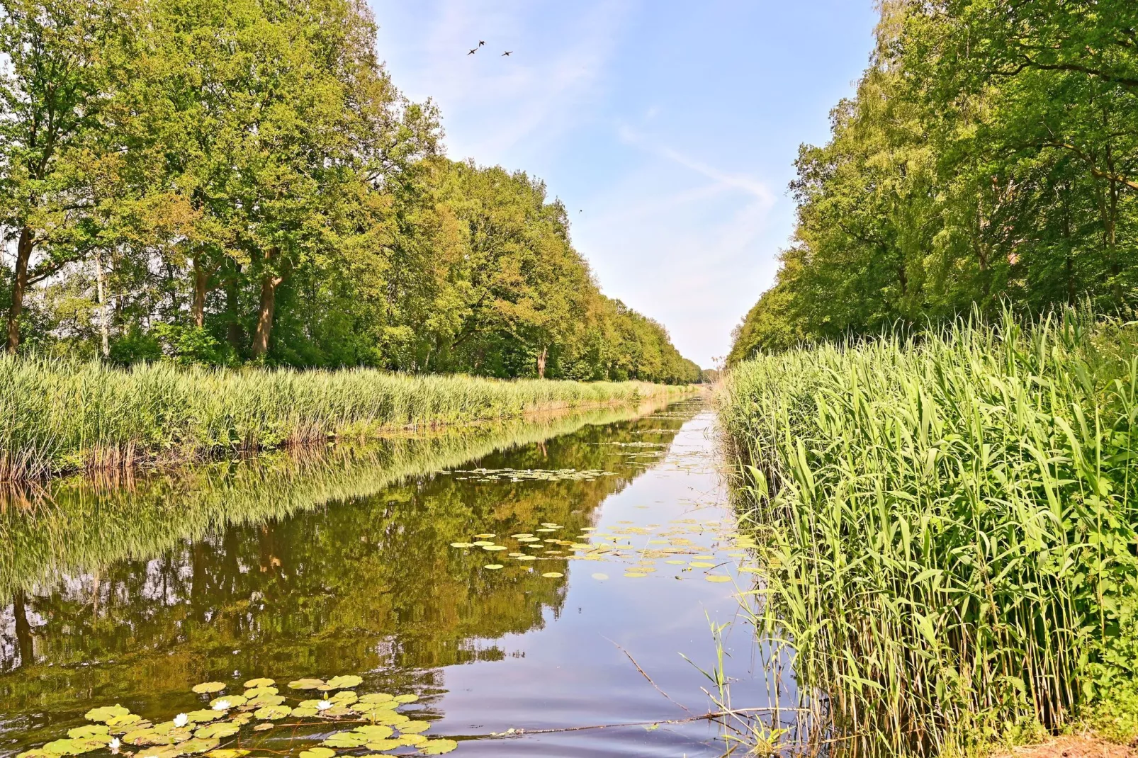 Veldzicht-Areas summer 5km