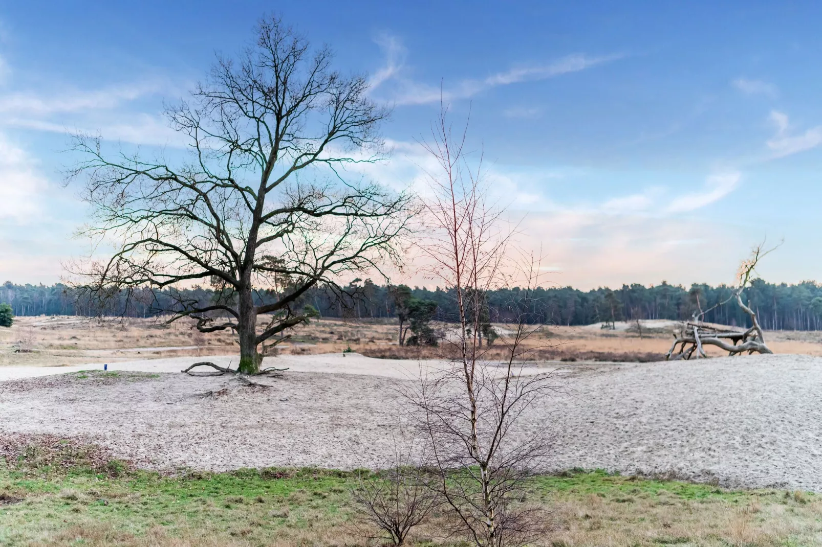 Villa Loonse Duinen-Zones été à 5 km