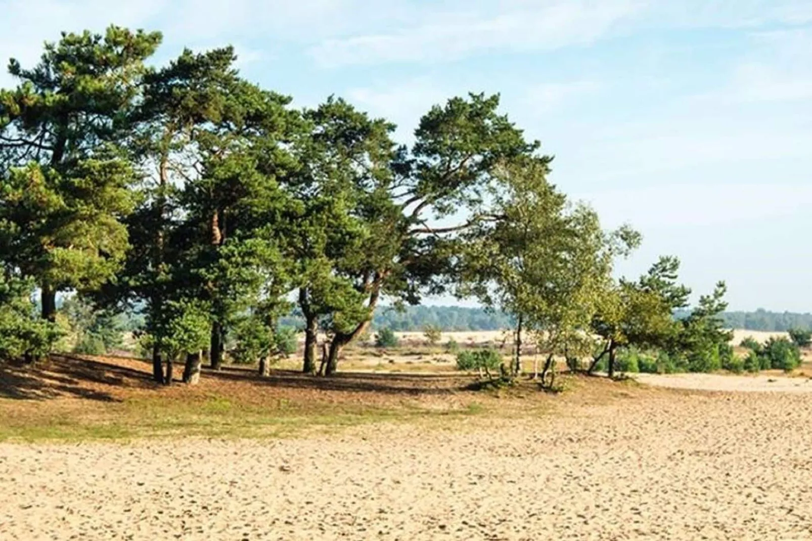 Villa Loonse Duinen-Zones été à 5 km