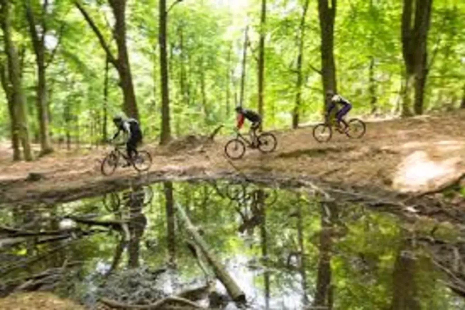 Villa Loonse Duinen-Zones été à 1 km