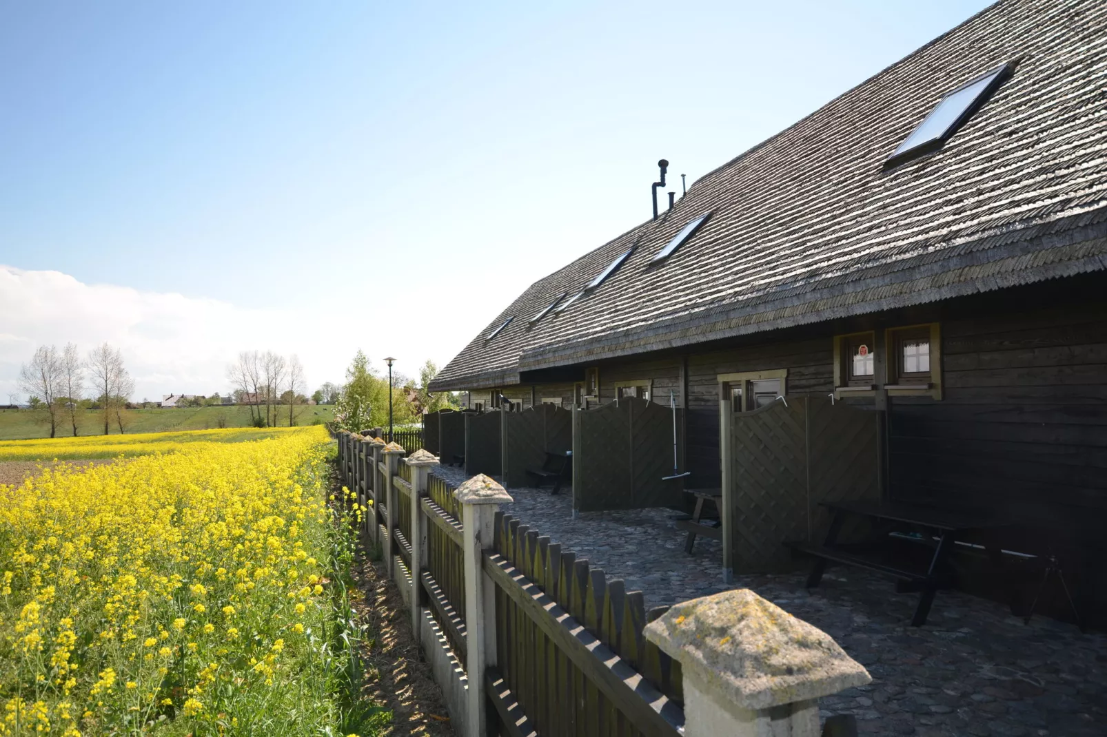 Studio-Exterior summer