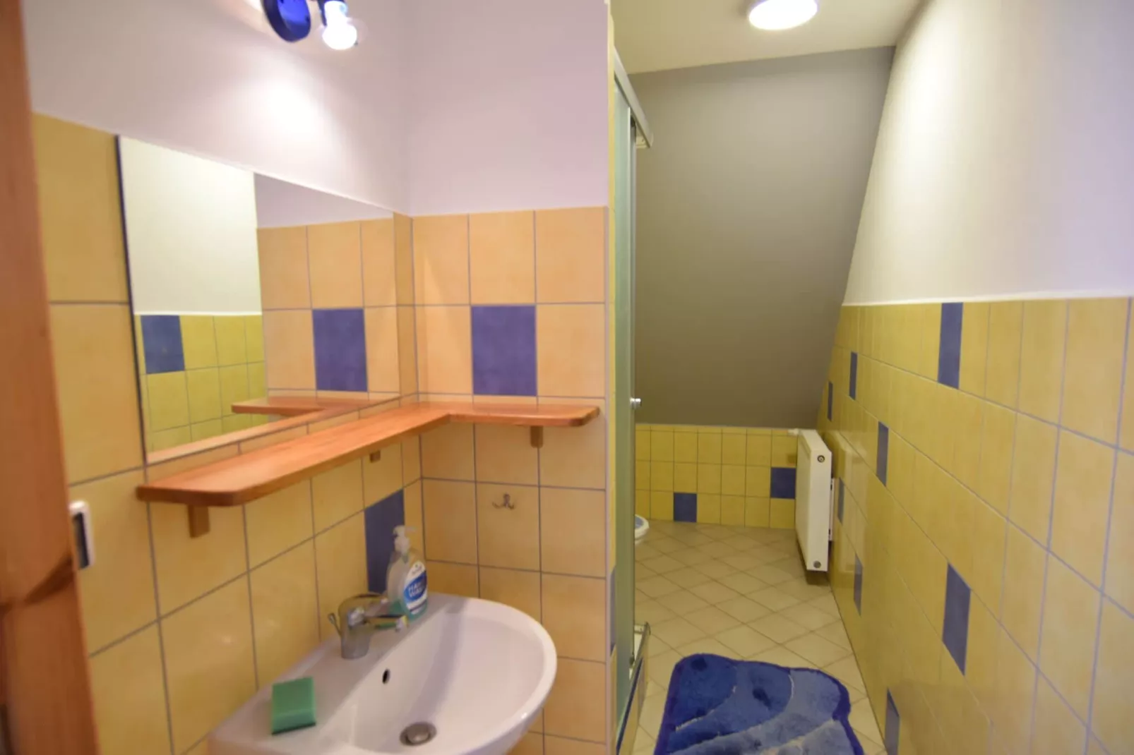 Dom nad jeziorem Mausz Parchowo-Bathroom