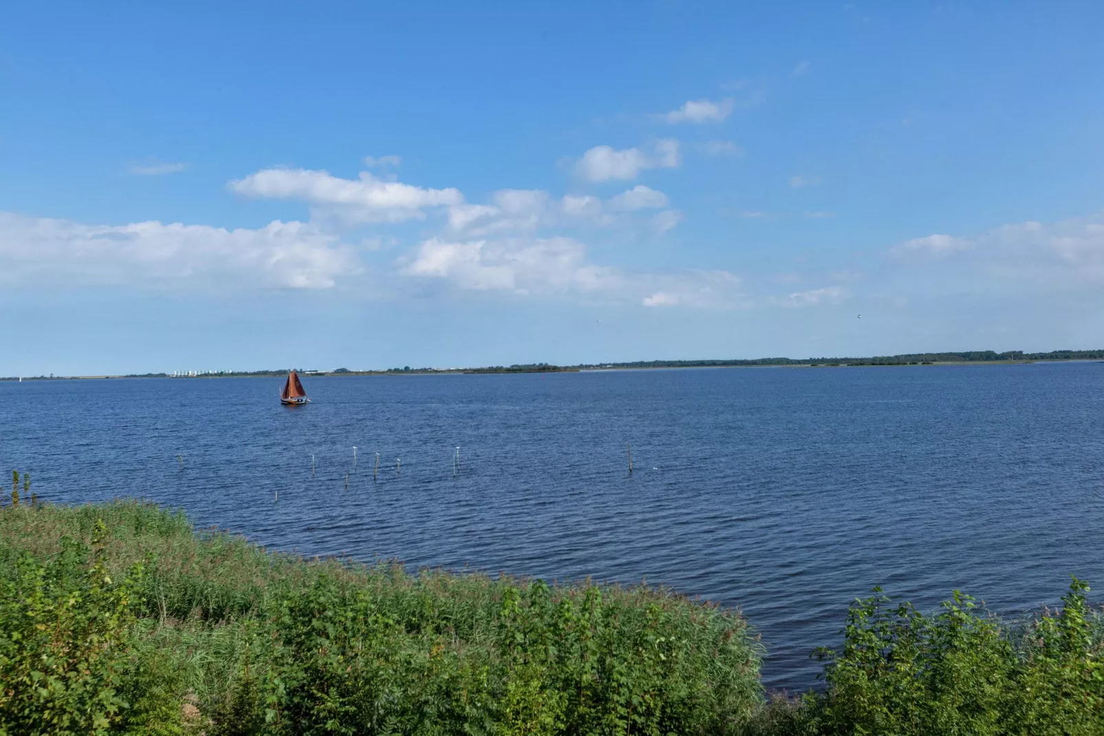 De Scholekster-Areas summer 1km