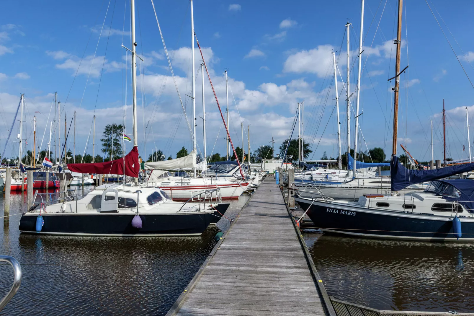 De Scholekster-Areas summer 5km
