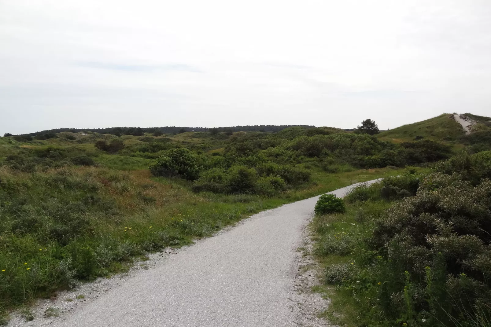 De Scholekster-Areas summer 20km