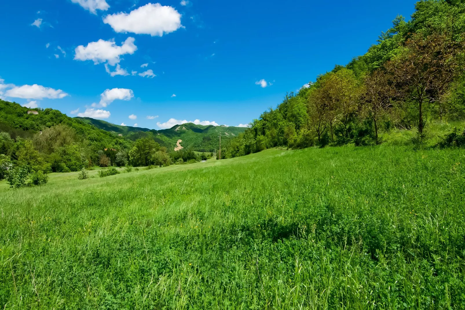 Villa Ludovica-Zones d'été à 5 km