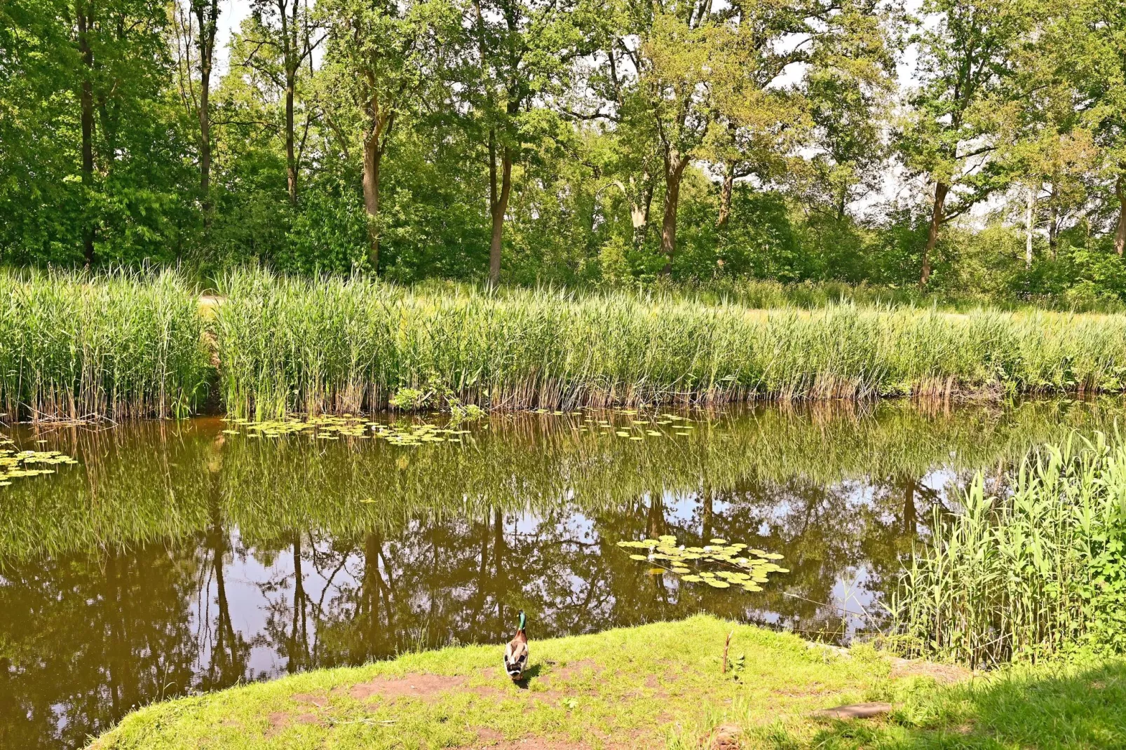 Zijzicht-Zones d'été à 5 km