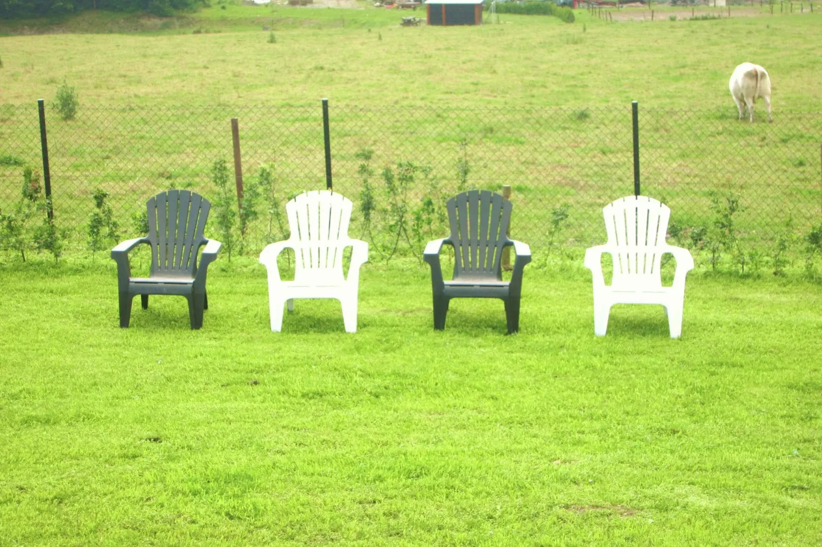 Au chant des grenouilles-Gardens summer