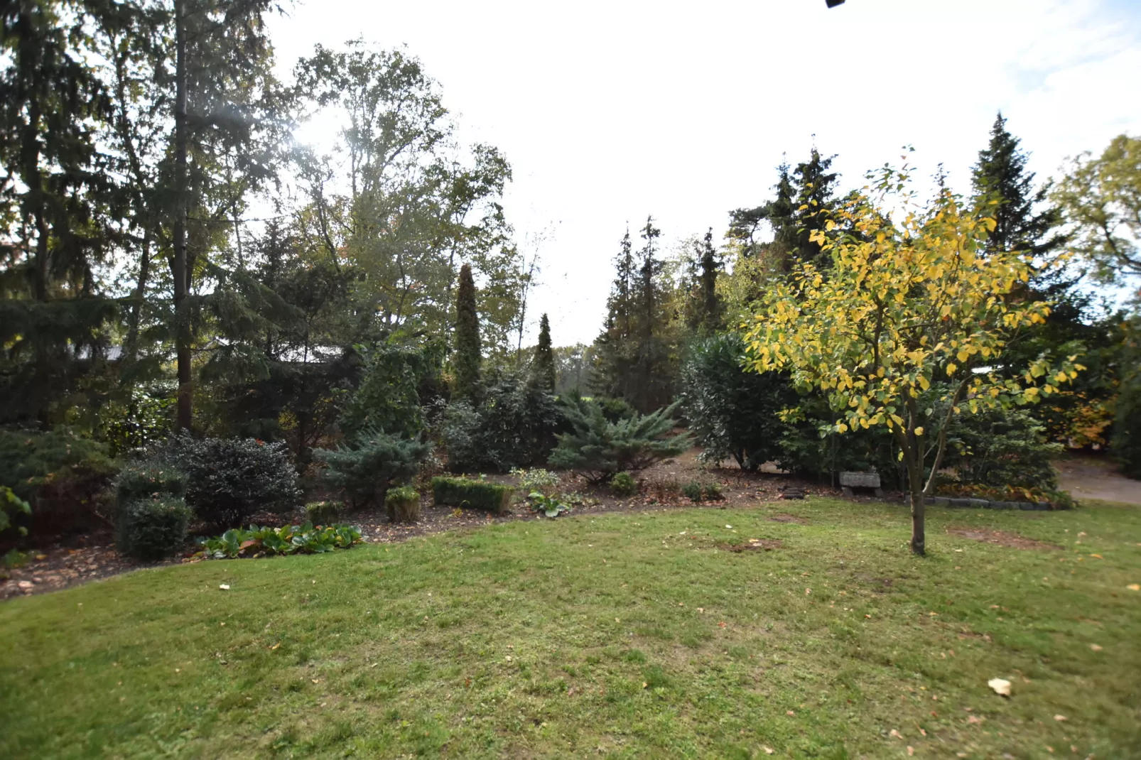 Oarich Trechte-Gardens summer