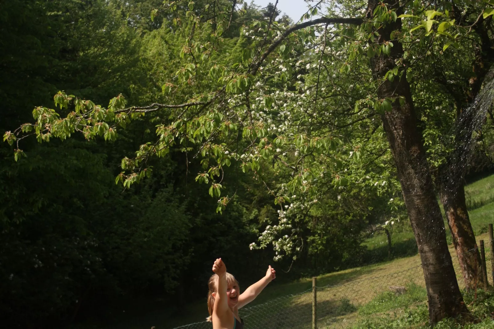 Reeenheuvel-Gardens summer